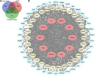 Mechanisms Underlying the Effects of Lianhua Qingwen on Sepsis-Induced Acute Lung Injury: A Network Pharmacology Approach